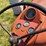 ford-820-image-11