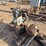 (3)-skidded-air-compressor-units,-incomplete-image-8
