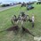 john-deere-2-image-6