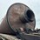 #2410-•-sawdust/shavings-dryer-plant-image-8