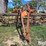 new-idea-400-image-2