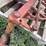 allis-chalmers-d17-image-20