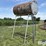 300-gal-fuel-barrel-w/stand-image-1