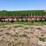 case-ih-183-image-2