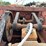 #2407-•-wood-shaving-plant-w/-40hp-motor-image-29