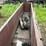 #2407-•-wood-shaving-plant-w/-40hp-motor-image-6