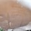 240-gal-saddle-tanks-image-19