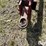 international-4700-image-9