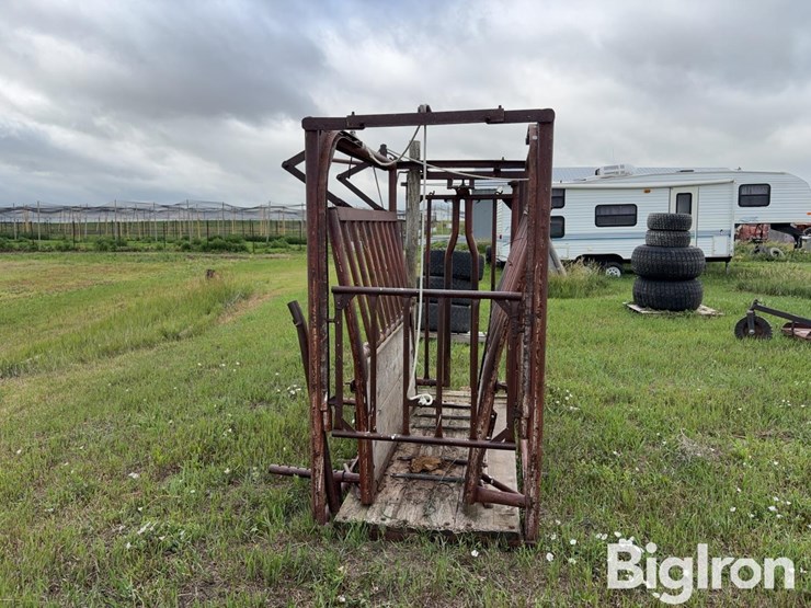 beef-master-cattle-chute-image-6