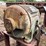 #2407-•-wood-shaving-plant-w/-40hp-motor-image-19