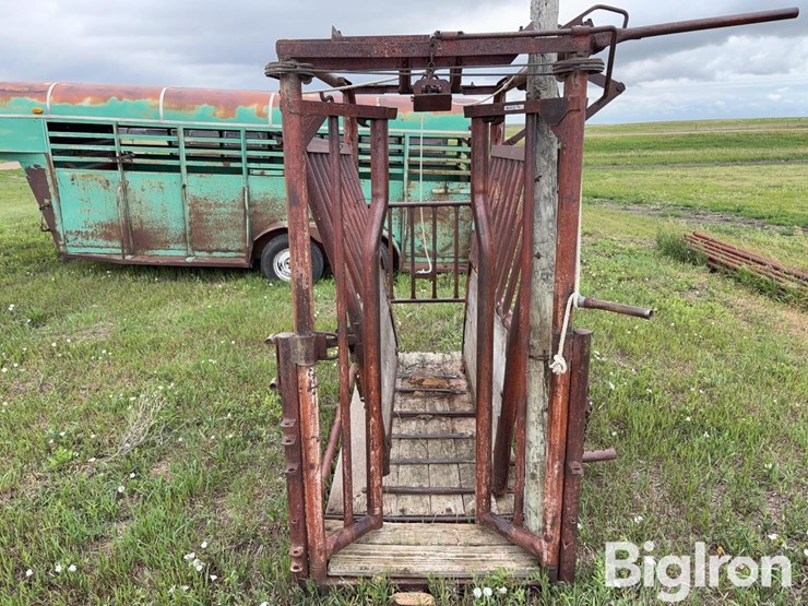 beef-master-cattle-chute-image-20