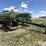 great-plains-2sf24-image-3