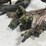 raven-viper-image-12