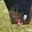 farmhand-1140-image-14