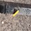 #1349-•-forklift-telescopic-boom-image-6