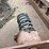 #2408-•-wood-shaving-plant-image-30