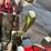 2019-massey-ferguson-4710-image-26