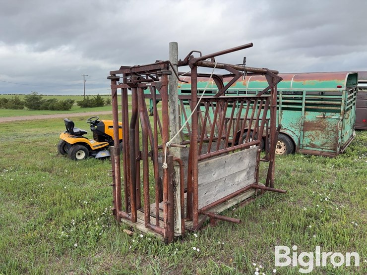 beef-master-cattle-chute-image-1