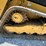 2025-caterpillar-259d3-image-11