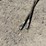 2022-industrias-america-r2624-10'-disc-harrow-image-9