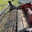 westward-388-image-11