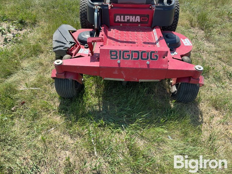 bigdog-alpha-mp-image-13