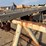 lot-of-(20)-11”-dia-x-25-to-35’-older-telephone-poles-image-7