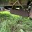 2006-ledwell-48'-image-32