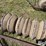 concrete-cultipacker-image-12
