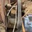 #2410-•-sawdust/shavings-dryer-plant-image-49