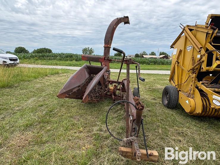 international-16-image-2
