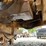 caterpillar-815a-image-41