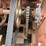 #2408-•-wood-shaving-plant-image-12