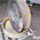 tractor-tire-rims-image-5