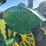 john-deere-model-b-image-10