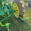 john-deere-hn-image-6