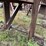 #2408-•-wood-shaving-plant-image-25