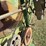 ag-rain-t33a-water-winch-volume-gun-image-14