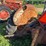 ford-601-image-15