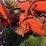 allis-chalmers-d15-series-ii-image-22