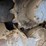 2016-takeuchi-tl8-image-10
