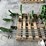 john-deere-12-image-12