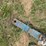 te-slaa-12-image-9