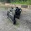 #4509-•-blue-diamond-swing-arm-stump-grinder-image-7