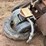 #2410-•-sawdust/shavings-dryer-plant-image-64
