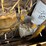 caterpillar-815a-image-36