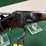 winchester-mdl.1873-357-mag/38-spl-rifle-image-16