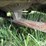 2018-cub-cadet-13apa1ct010-xt1-lt46"-lawn-mower-image-17
