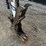 bobcat-e26-image-10