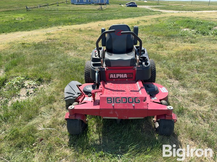 bigdog-alpha-mp-image-2